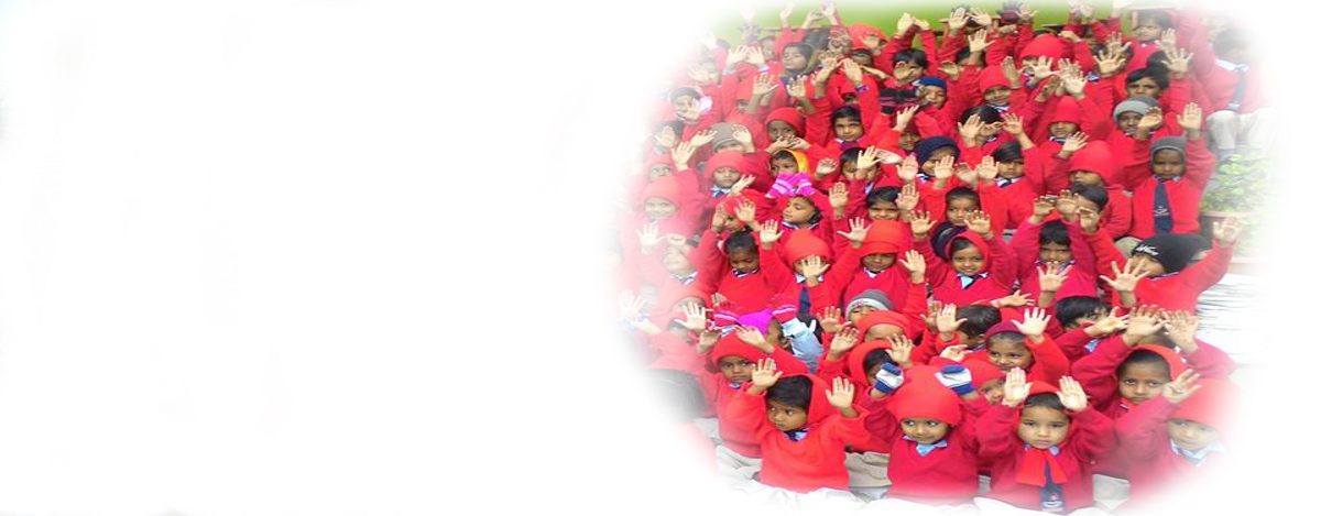 We Have Got what Your Child Needs